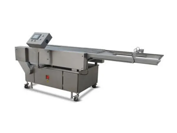 Food Conveyor